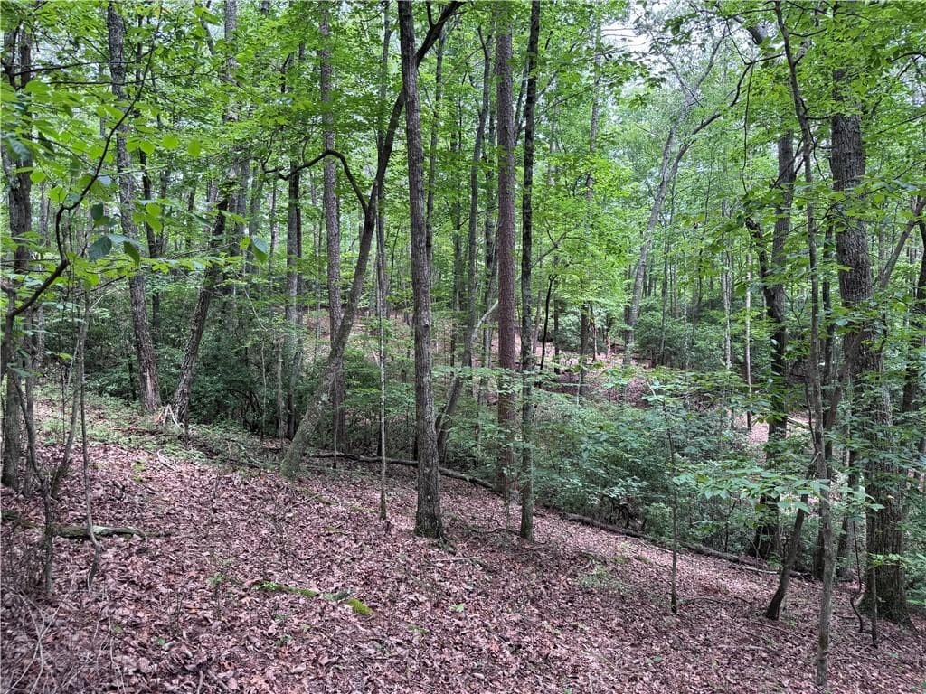 other for sale at 0 Owltown Road, Ellijay, GA 30536 — photo 6