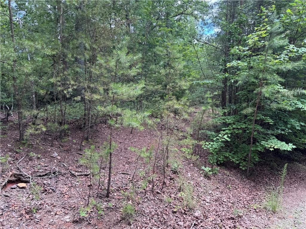 other for sale at 0 Owltown Road, Ellijay, GA 30536 — photo 7