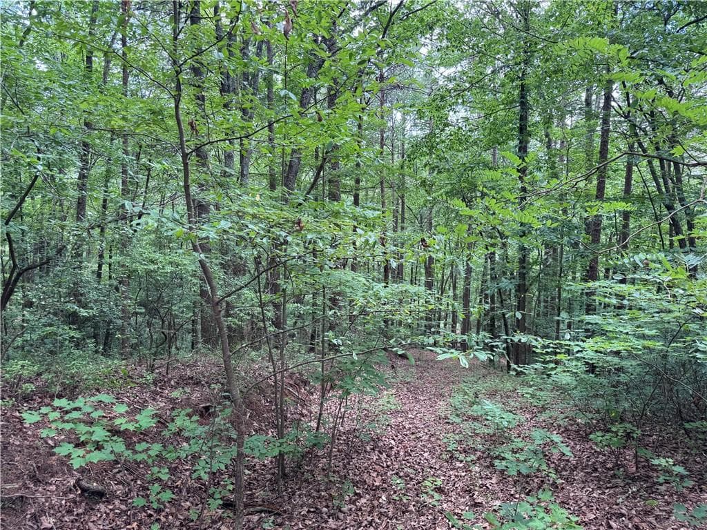 other for sale at 0 Owltown Road, Ellijay, GA 30536 — photo 9