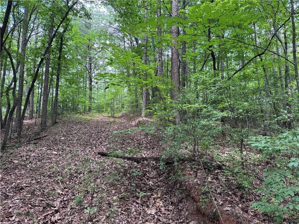 other for sale at 0 Owltown Road, Ellijay, GA 30536 — photo 10