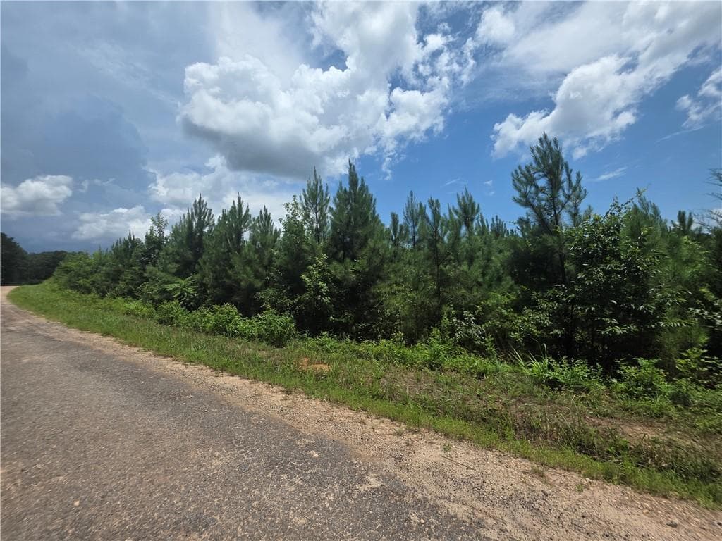 unimproved land for sale at 0 Wehunt Road, Covington, GA 30016 — photo 1 of 3