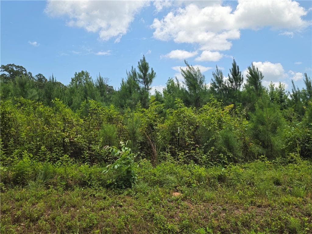 unimproved land for sale at 0 Wehunt Road, Covington, GA 30016 — photo 3