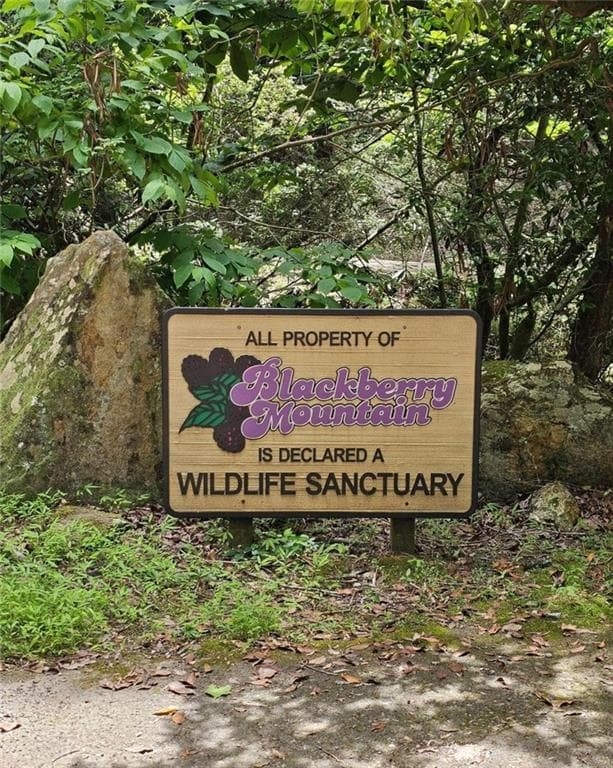 unimproved land for sale at 0 Blackberry Mountain Road, Ellijay, GA 30536 — photo 2