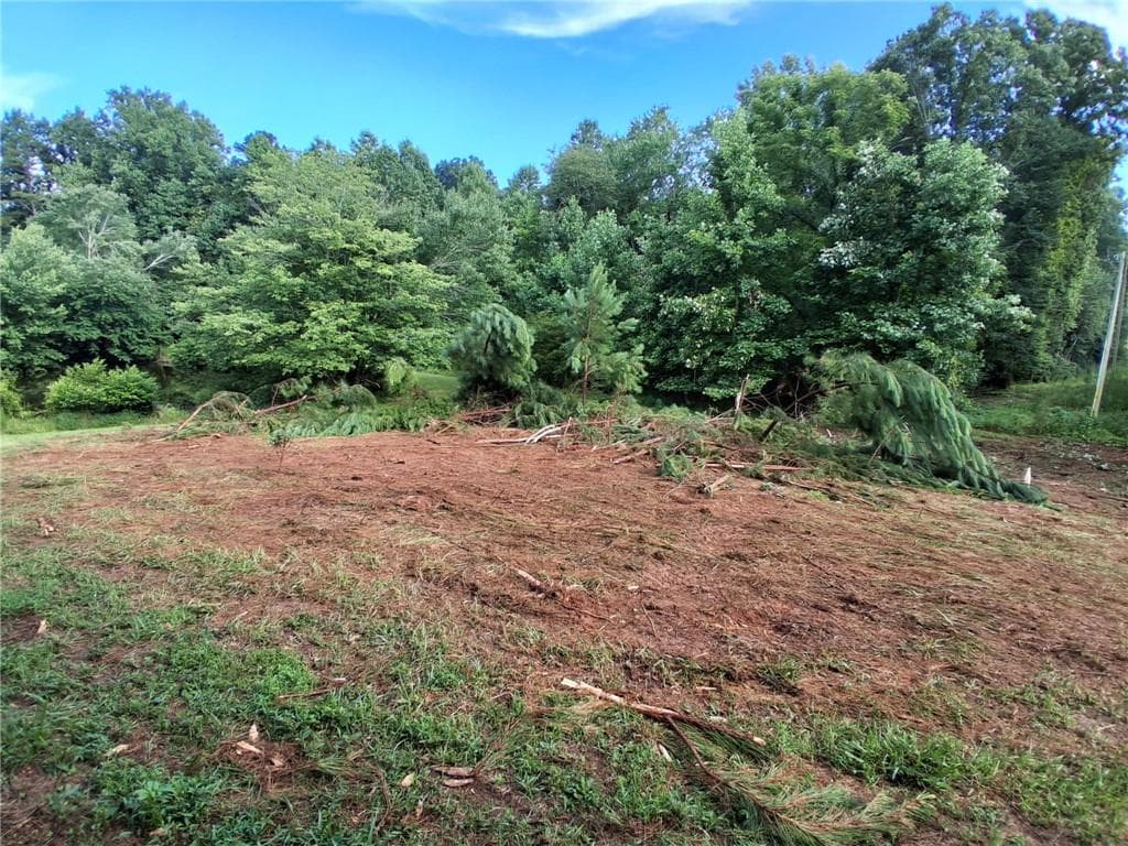 unimproved land for sale at 0 Blackberry Mountain Road, Ellijay, GA 30536 — photo 3