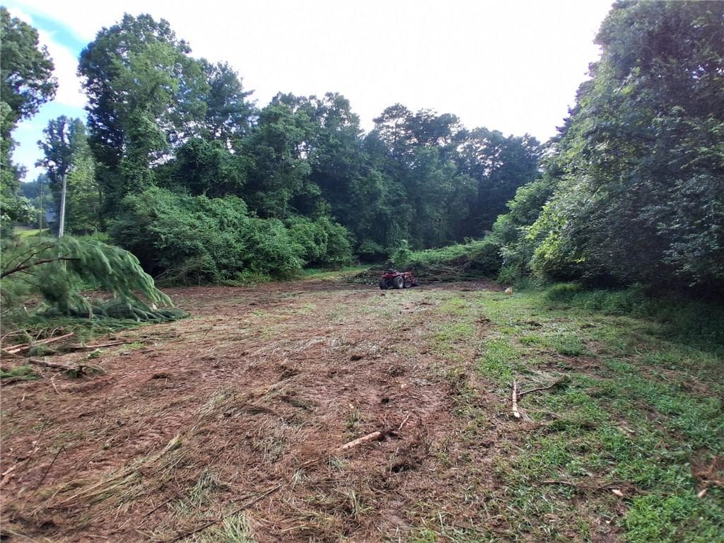 unimproved land for sale at 0 Blackberry Mountain Road, Ellijay, GA 30536 — photo 4