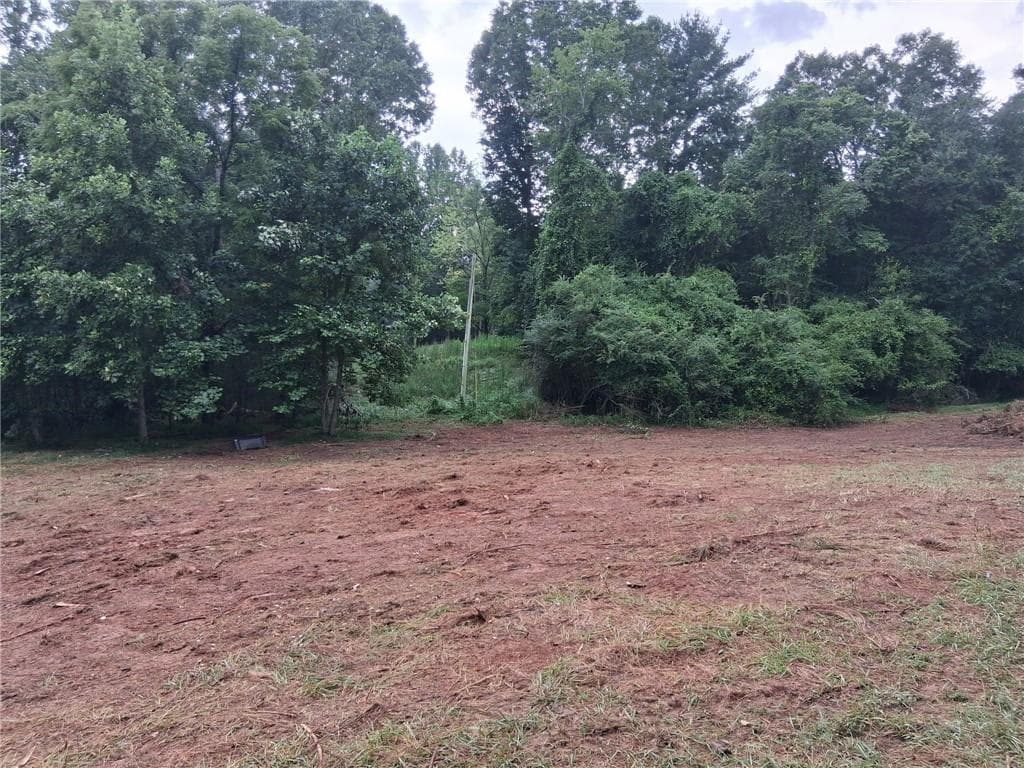 unimproved land for sale at 0 Blackberry Mountain Road, Ellijay, GA 30536 — photo 5