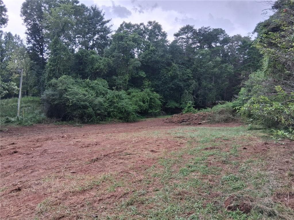 unimproved land for sale at 0 Blackberry Mountain Road, Ellijay, GA 30536 — photo 6