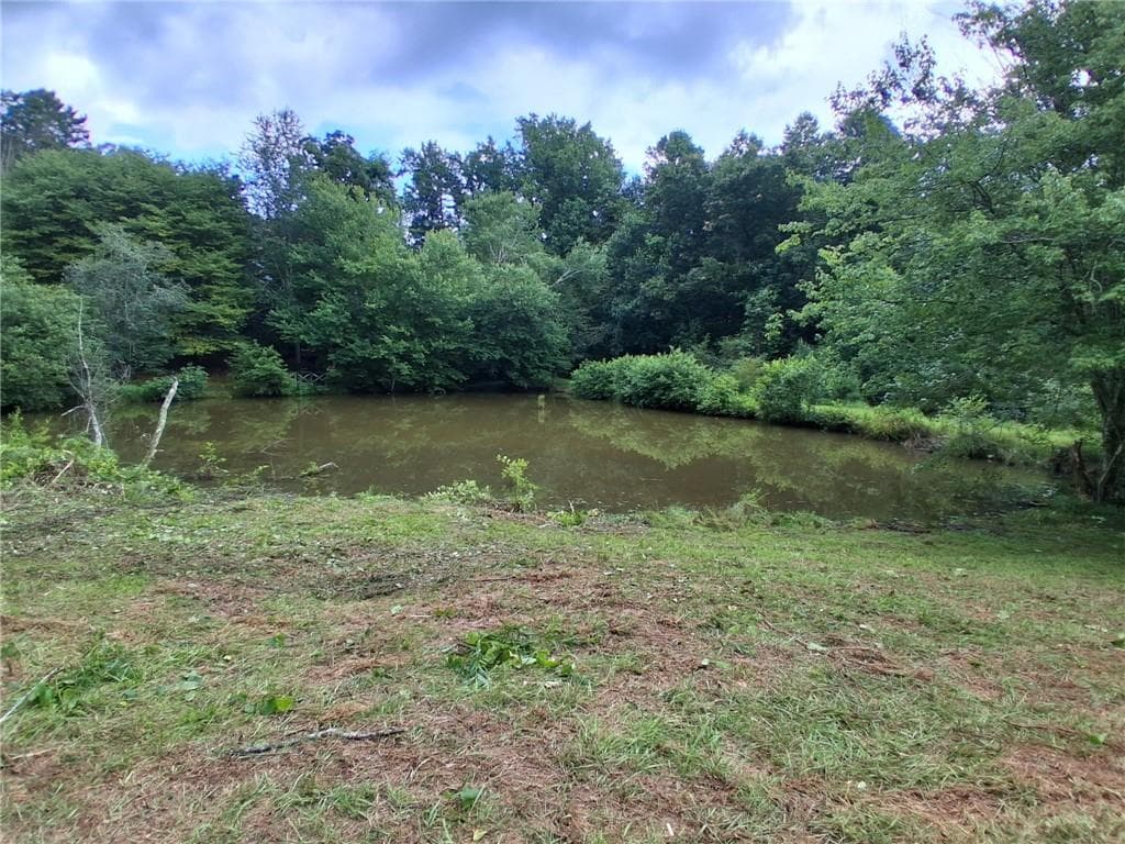 unimproved land for sale at 0 Blackberry Mountain Road, Ellijay, GA 30536 — photo 7
