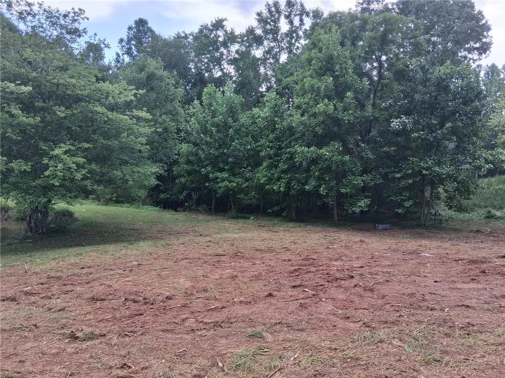 unimproved land for sale at 0 Blackberry Mountain Road, Ellijay, GA 30536 — photo 8