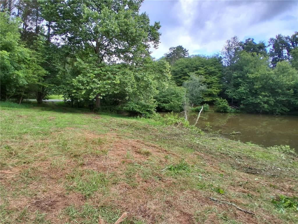 unimproved land for sale at 0 Blackberry Mountain Road, Ellijay, GA 30536 — photo 9