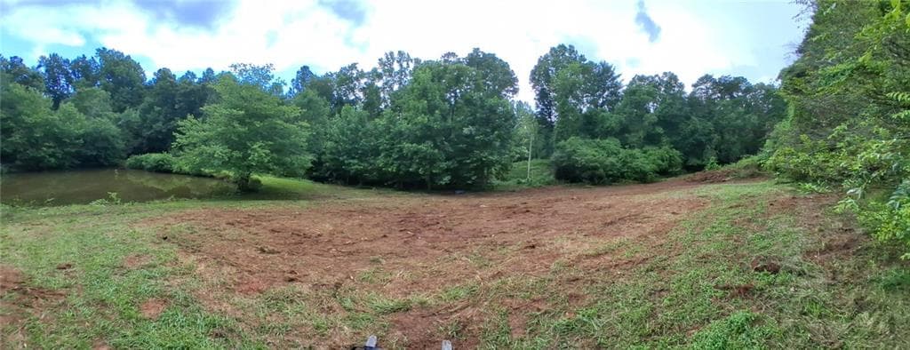 unimproved land for sale at 0 Blackberry Mountain Road, Ellijay, GA 30536 — photo 10