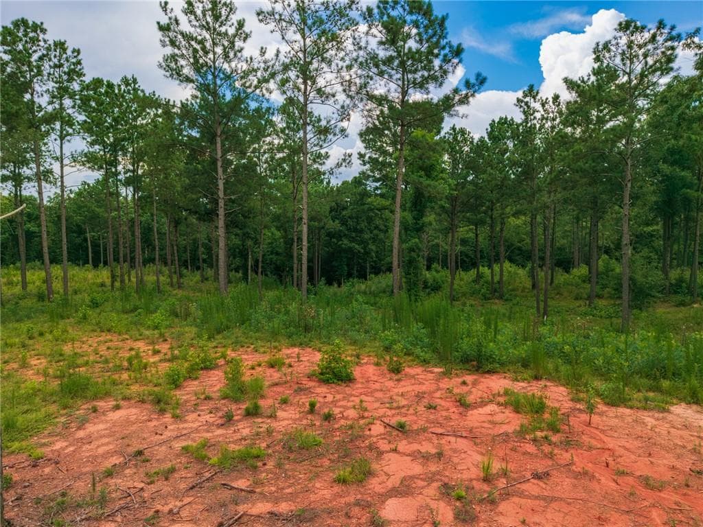 single family residence for sale at 143 Falls Lane, Milledgeville, GA 31061 — photo 7