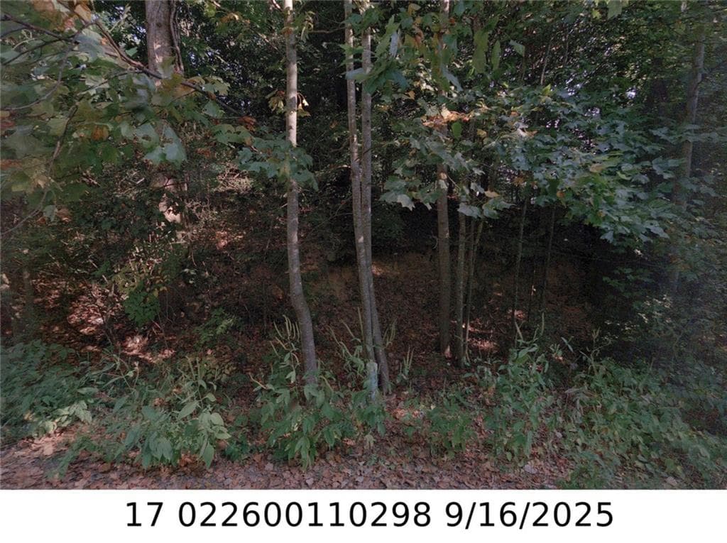 unimproved land for sale at X NEWMAN PL, Atlanta, GA 30318 — photo 2