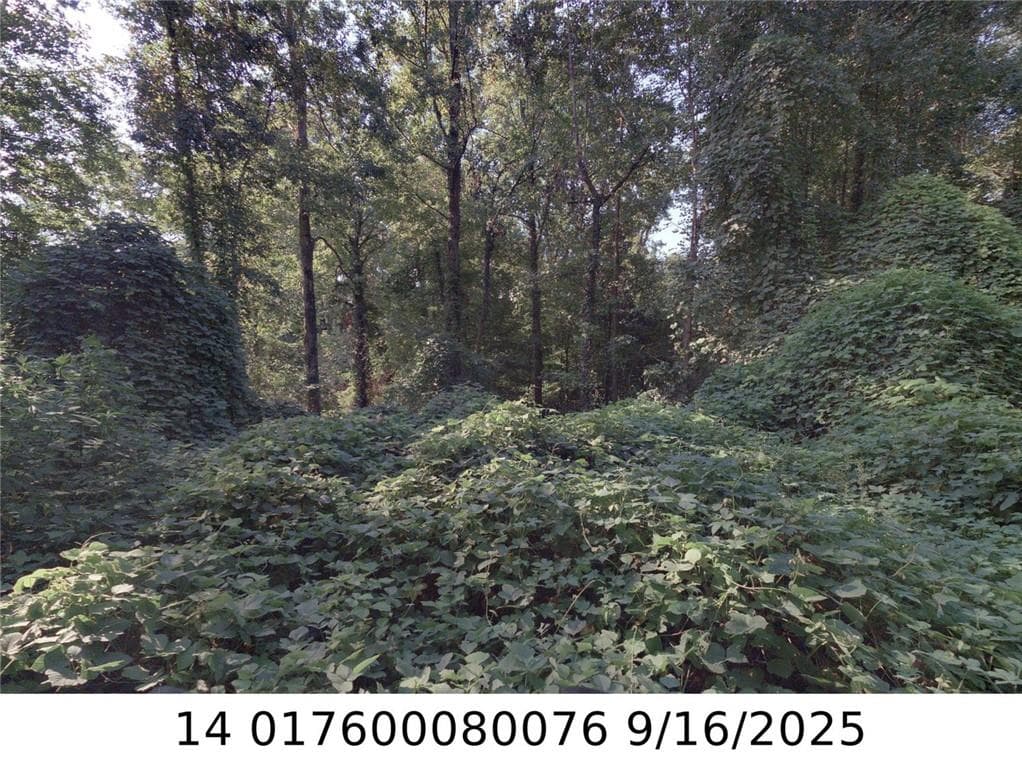 unimproved land for sale at 00 Newman Place, Atlanta, GA 30318 — photo 1 of 2
