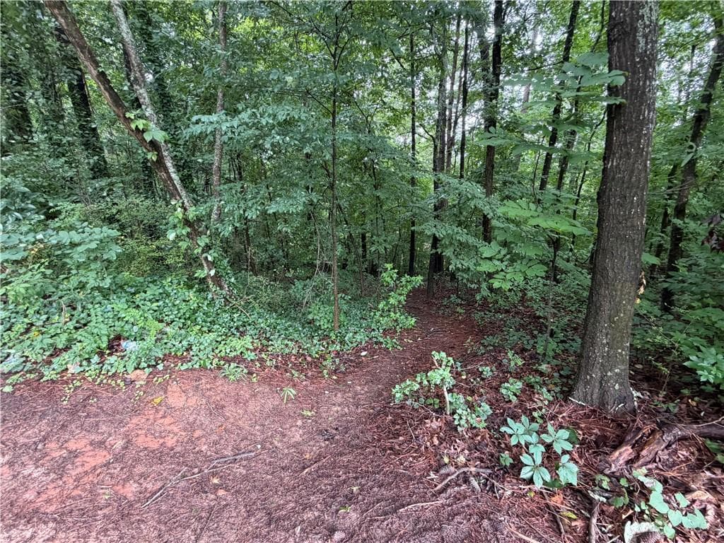 other for sale at 4650 Annistown Road, Snellville, GA 30039 — photo 6
