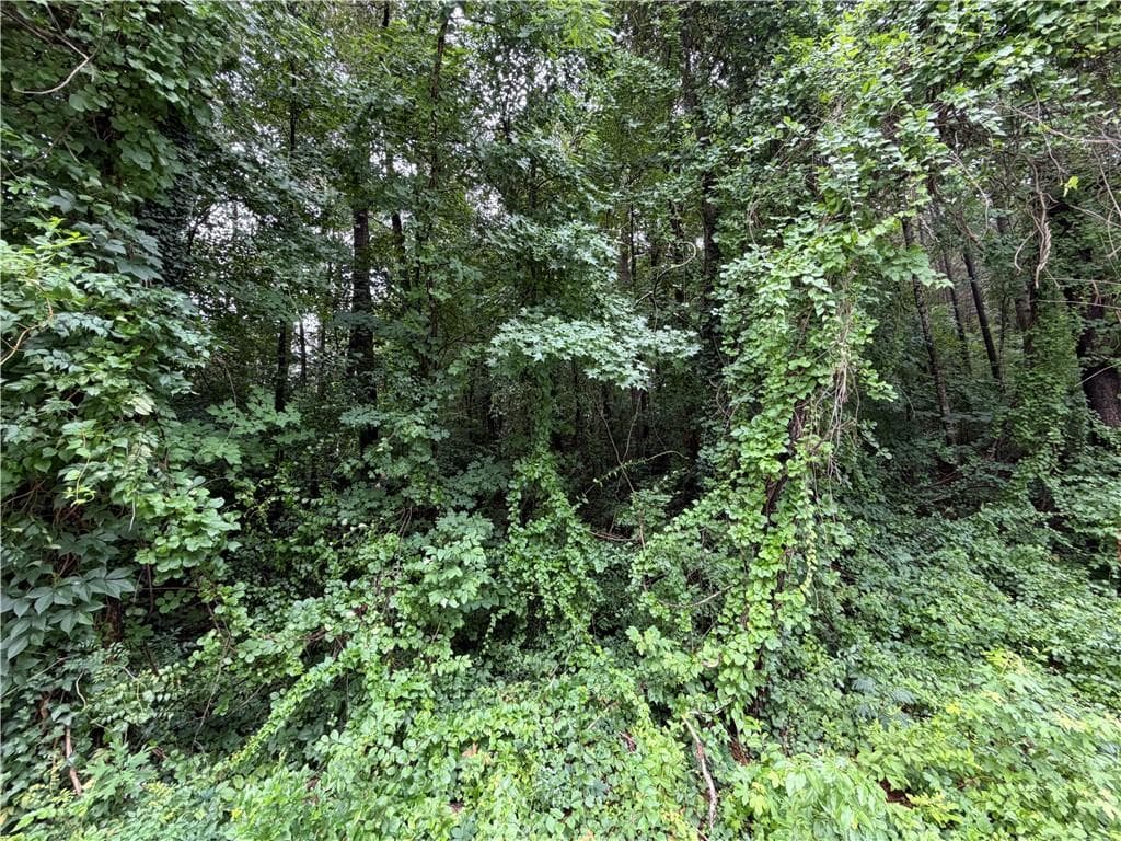 other for sale at 4594 Annistown Road, Snellville, GA 30039 — photo 4