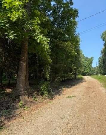 single family residence for sale at LOT 7 Rue Beauregard, Lavonia, GA 30553 — photo 7