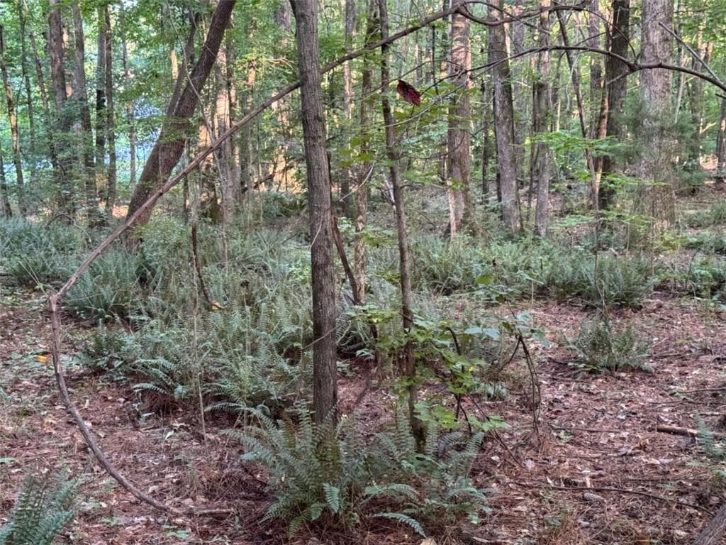 single family residence for sale at 0 Lake Hampton Drive, Hampton, GA 30228 — photo 6
