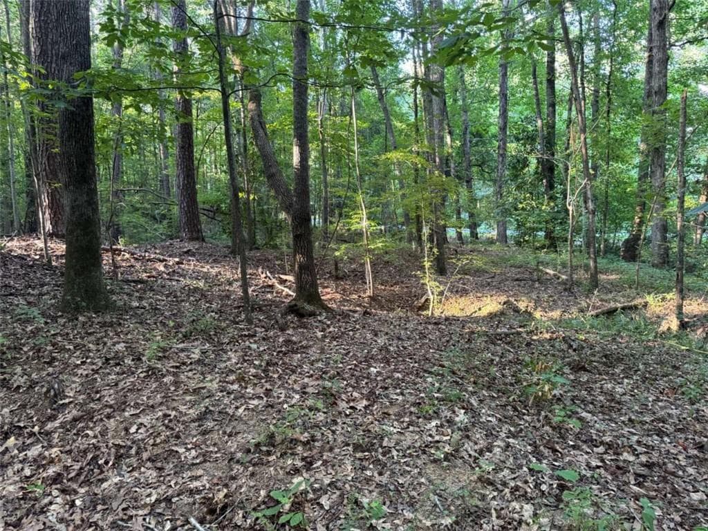single family residence for sale at 0 Lake Hampton Drive, Hampton, GA 30228 — photo 7