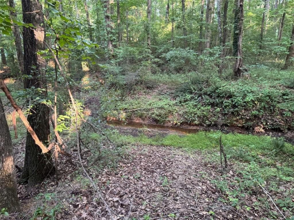 single family residence for sale at 0 Lake Hampton Drive, Hampton, GA 30228 — photo 8