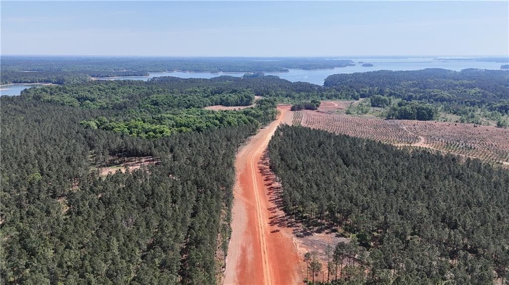 unimproved land for sale at 1000 Hidden Harbor Road, Lincolnton, GA 30817 — photo 2