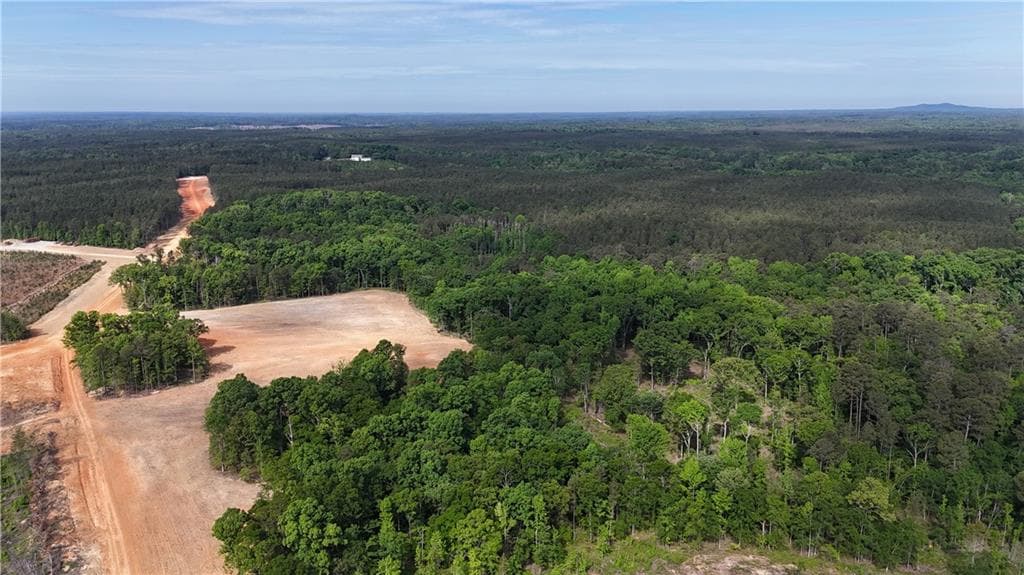 unimproved land for sale at 1000 Hidden Harbor Road, Lincolnton, GA 30817 — photo 3