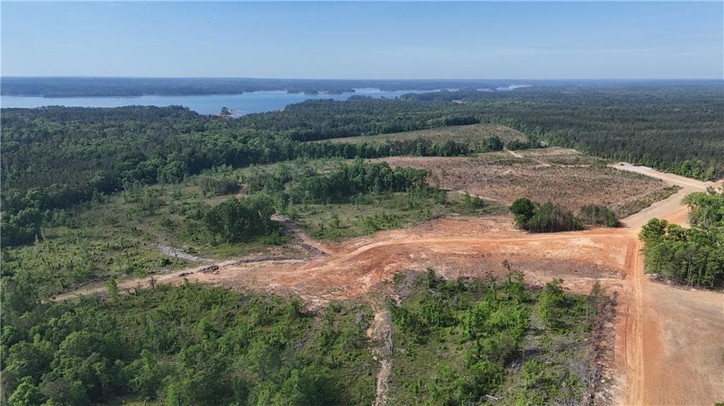 unimproved land for sale at 1000 Hidden Harbor Road, Lincolnton, GA 30817 — photo 4