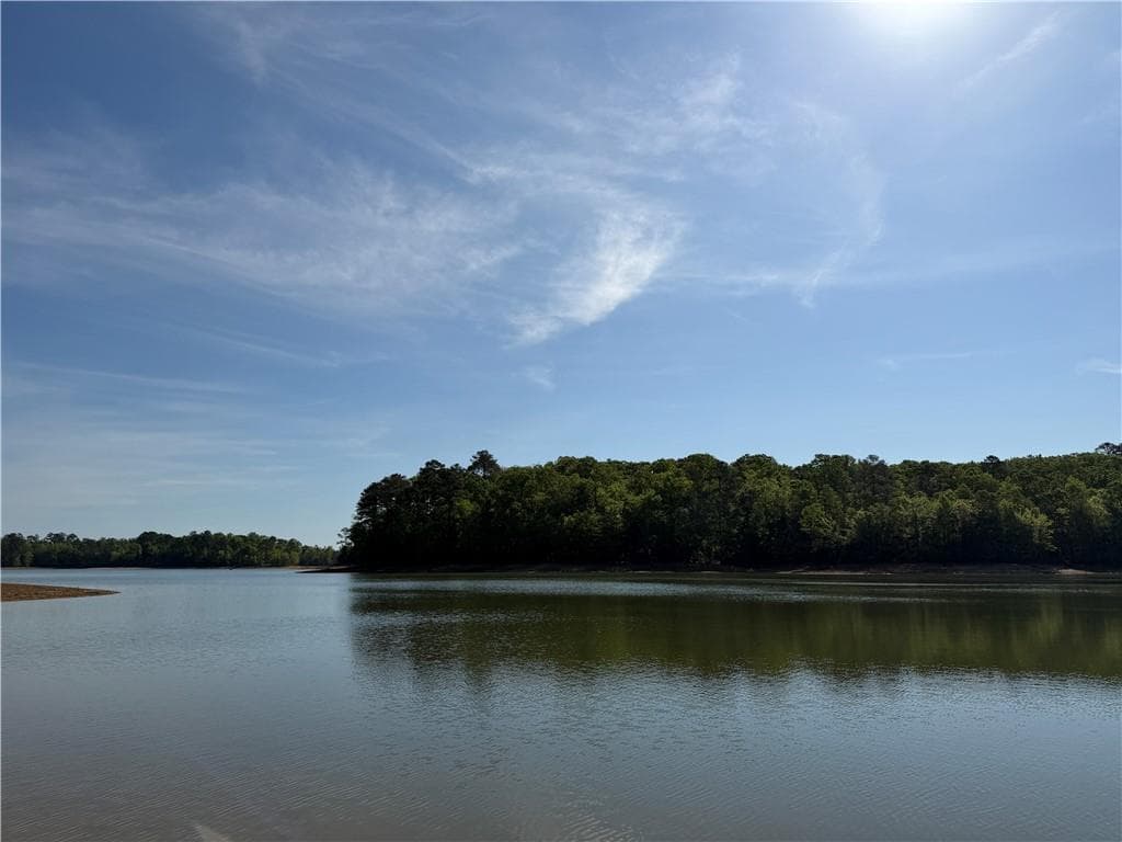 unimproved land for sale at 1000 Hidden Harbor Road, Lincolnton, GA 30817 — photo 5