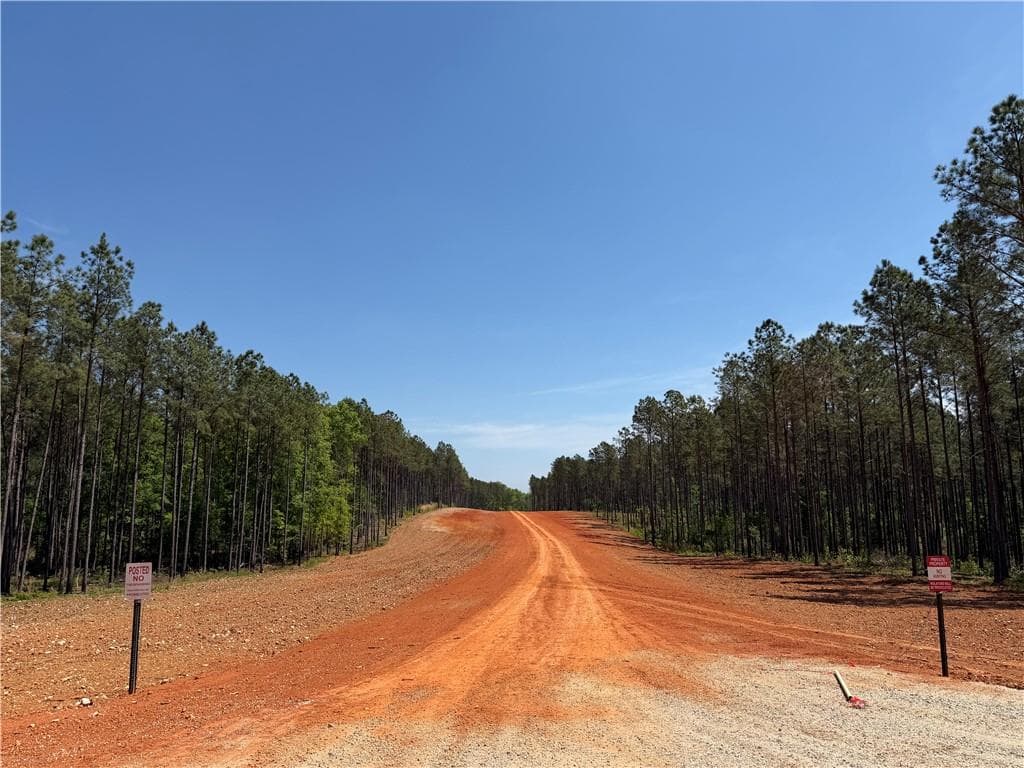 unimproved land for sale at 1000 Hidden Harbor Road, Lincolnton, GA 30817 — photo 7