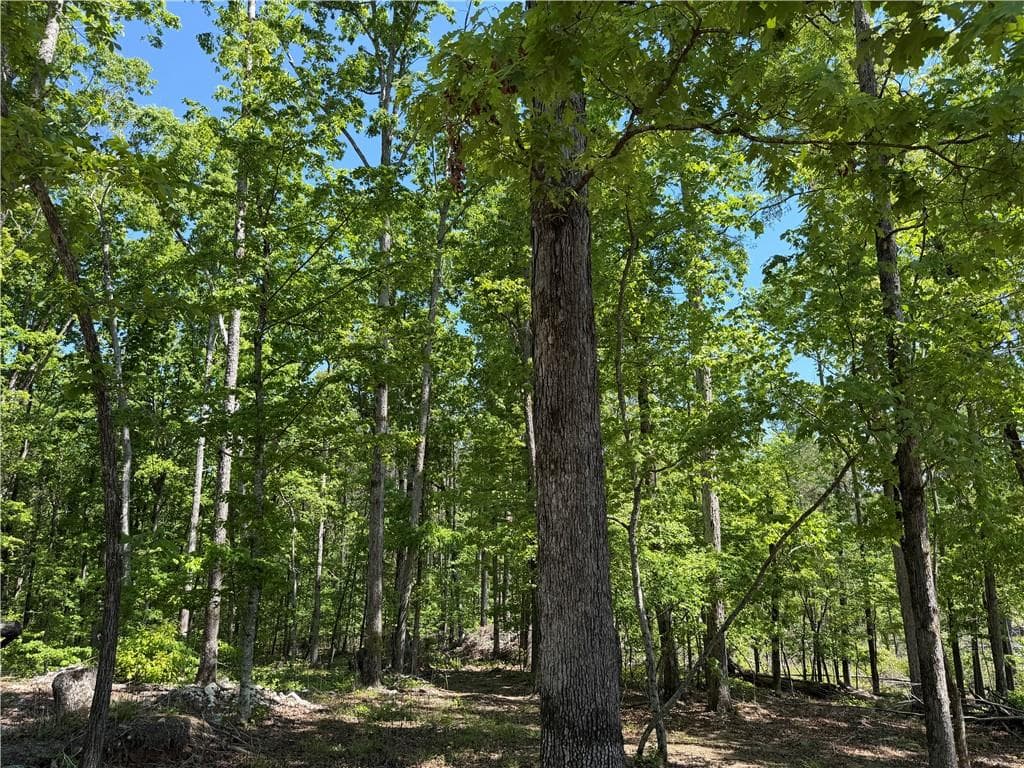 unimproved land for sale at 1000 Hidden Harbor Road, Lincolnton, GA 30817 — photo 8