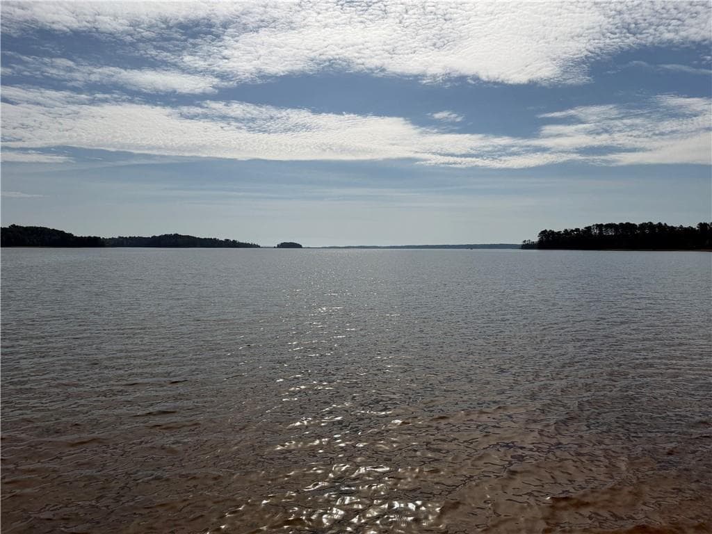 unimproved land for sale at 1000 Hidden Harbor Road, Lincolnton, GA 30817 — photo 10
