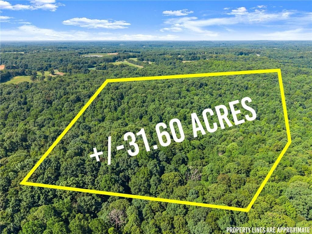 unimproved land for sale at 0 Prospect Road, Carnesville, GA 30521