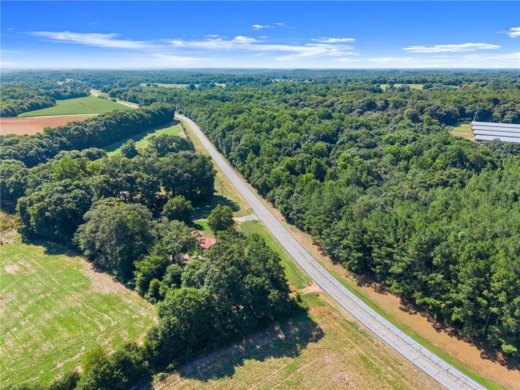 unimproved land for sale at 0 Prospect Road, Carnesville, GA 30521 — photo 2