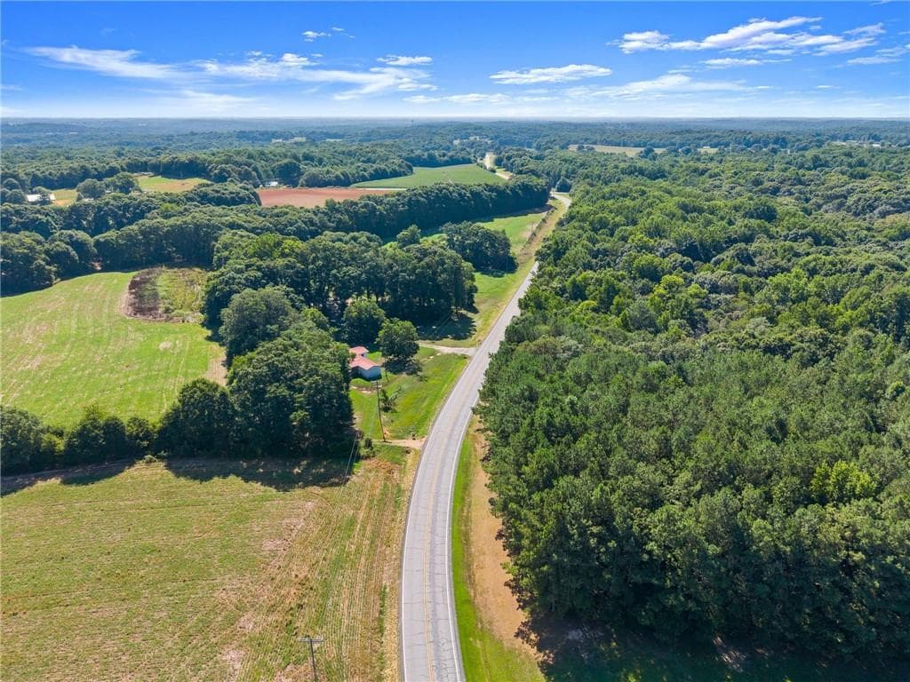 unimproved land for sale at 0 Prospect Road, Carnesville, GA 30521 — photo 4