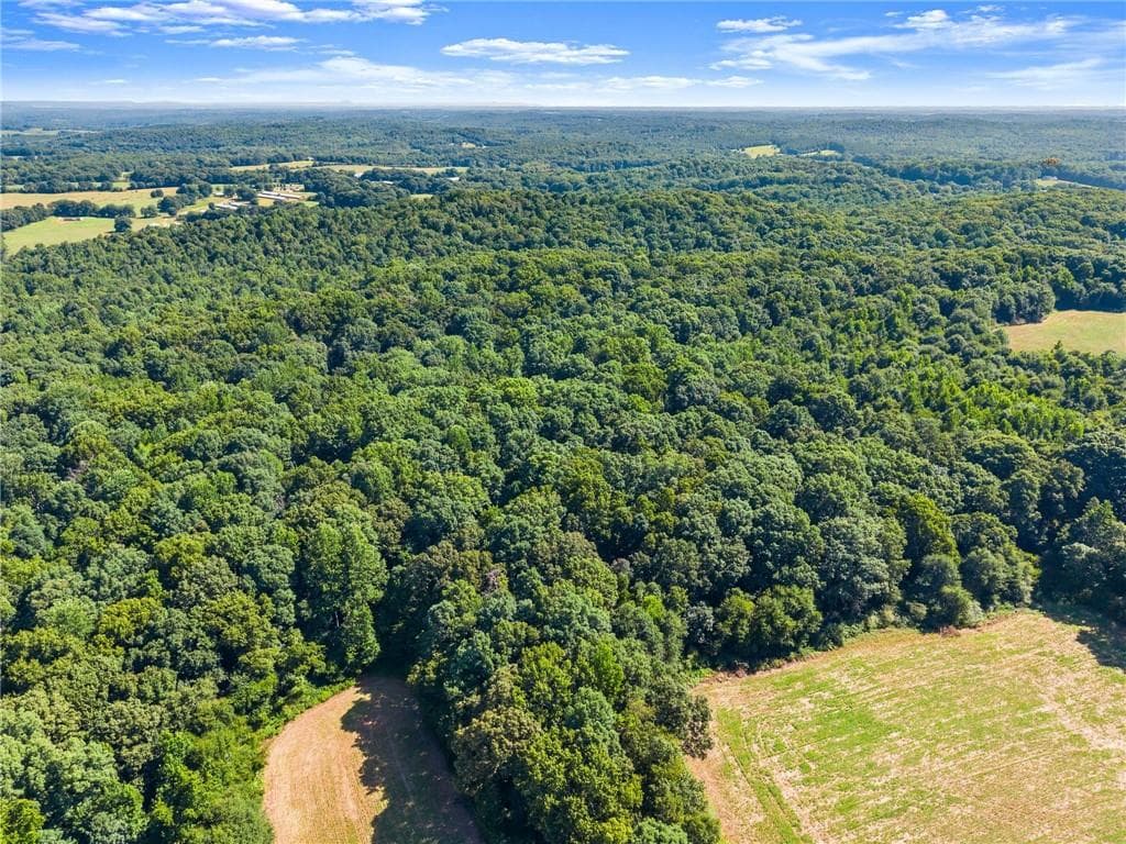 unimproved land for sale at 0 Prospect Road, Carnesville, GA 30521 — photo 5