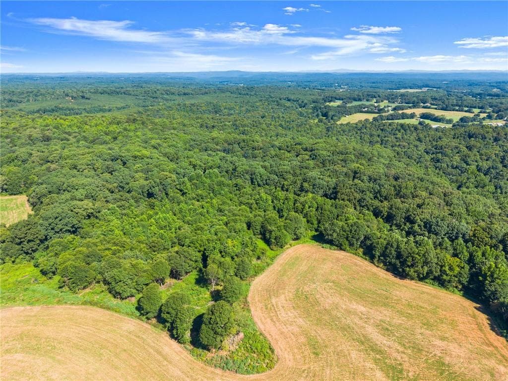 unimproved land for sale at 0 Prospect Road, Carnesville, GA 30521 — photo 6