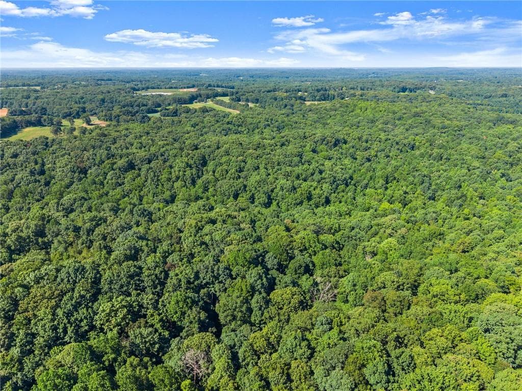 unimproved land for sale at 0 Prospect Road, Carnesville, GA 30521 — photo 7