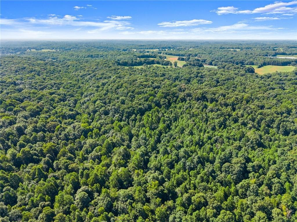 unimproved land for sale at 0 Prospect Road, Carnesville, GA 30521 — photo 8