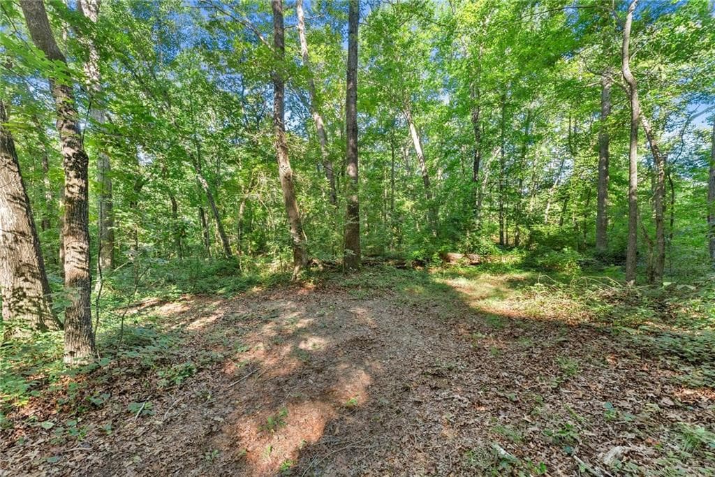 unimproved land for sale at 0 Prospect Road, Carnesville, GA 30521 — photo 9