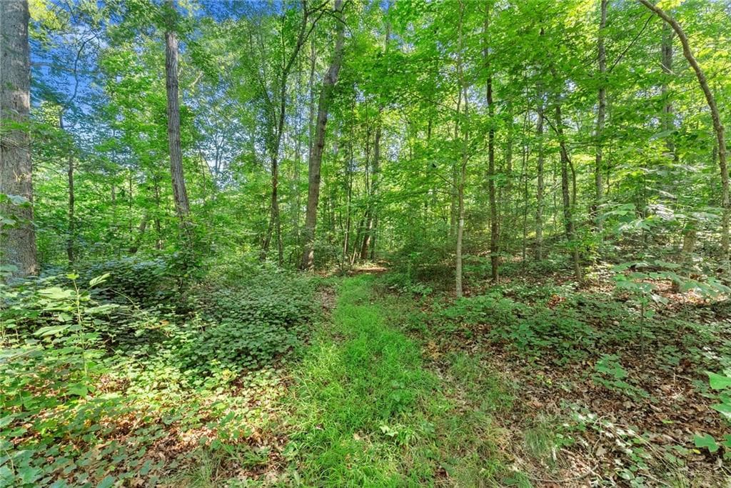 unimproved land for sale at 0 Prospect Road, Carnesville, GA 30521 — photo 10