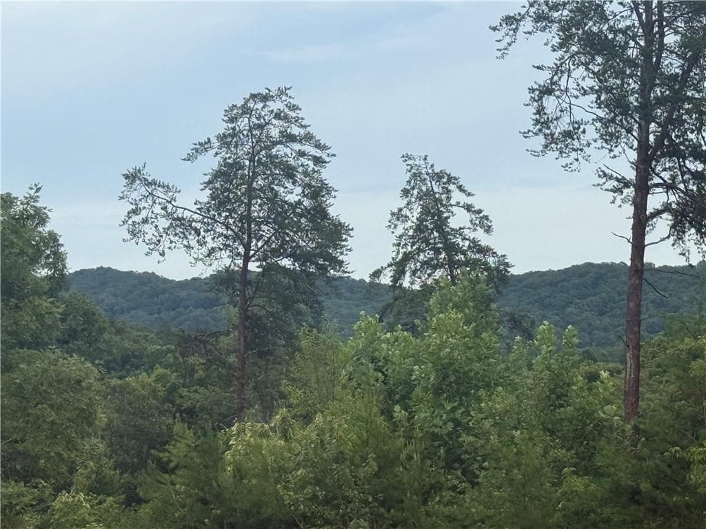 3 bedroom, 2 bathroom, 1,653 sq ft single family residence for sale at 3 Blue Mountain Road, Morganton, GA 30560 — photo 3