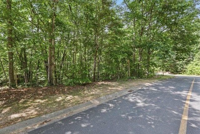 single family residence for sale at 0 Plum Lane, Clarkesville, GA 30523 — photo 2