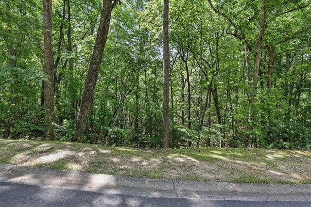 single family residence for sale at 0 Plum Lane, Clarkesville, GA 30523 — photo 3