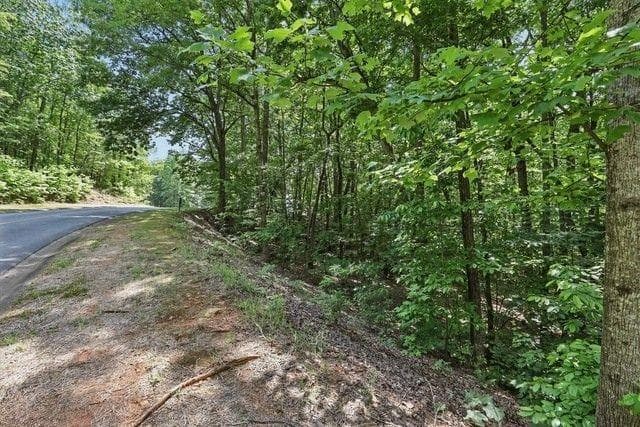single family residence for sale at 0 Plum Lane, Clarkesville, GA 30523 — photo 4