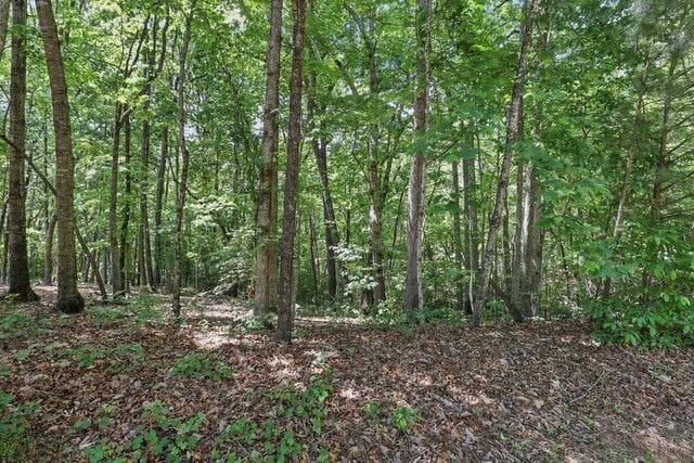 single family residence for sale at 0 Plum Lane, Clarkesville, GA 30523 — photo 5