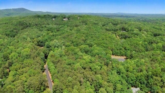 single family residence for sale at 0 Plum Lane, Clarkesville, GA 30523 — photo 8
