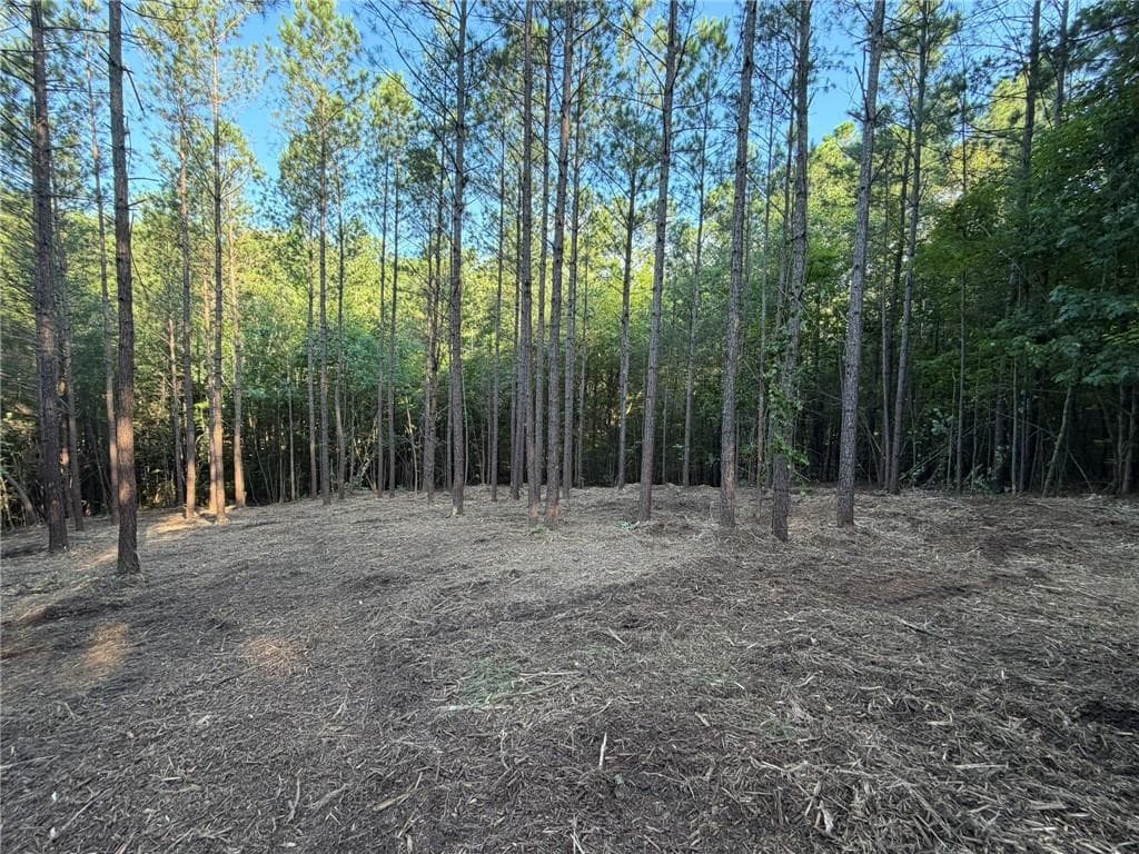 unimproved land for sale at 0 Lone Bear Path, Dallas, GA 30132 — photo 2