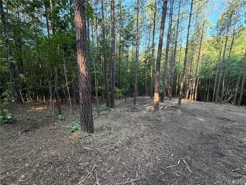 unimproved land for sale at 0 Lone Bear Path, Dallas, GA 30132 — photo 3
