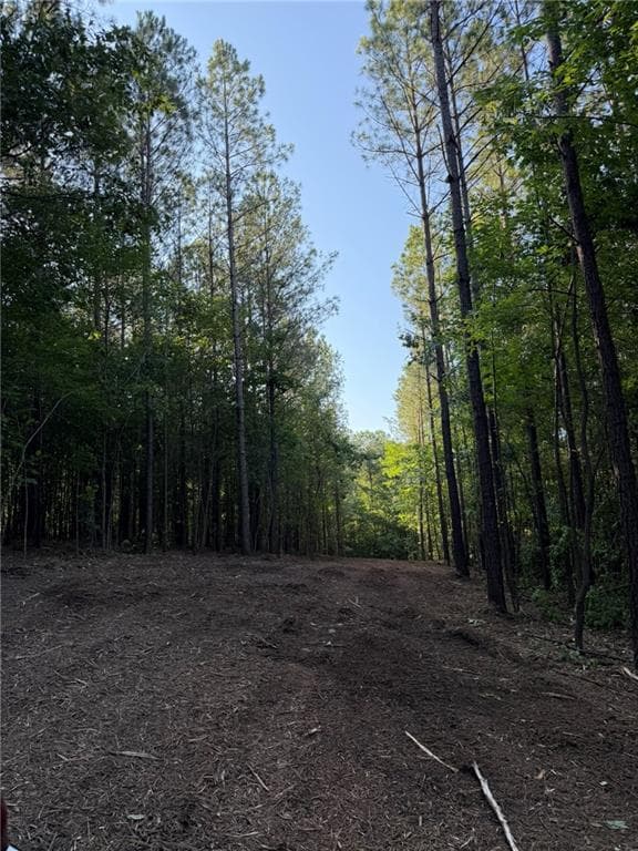 unimproved land for sale at 0 Lone Bear Path, Dallas, GA 30132 — photo 4