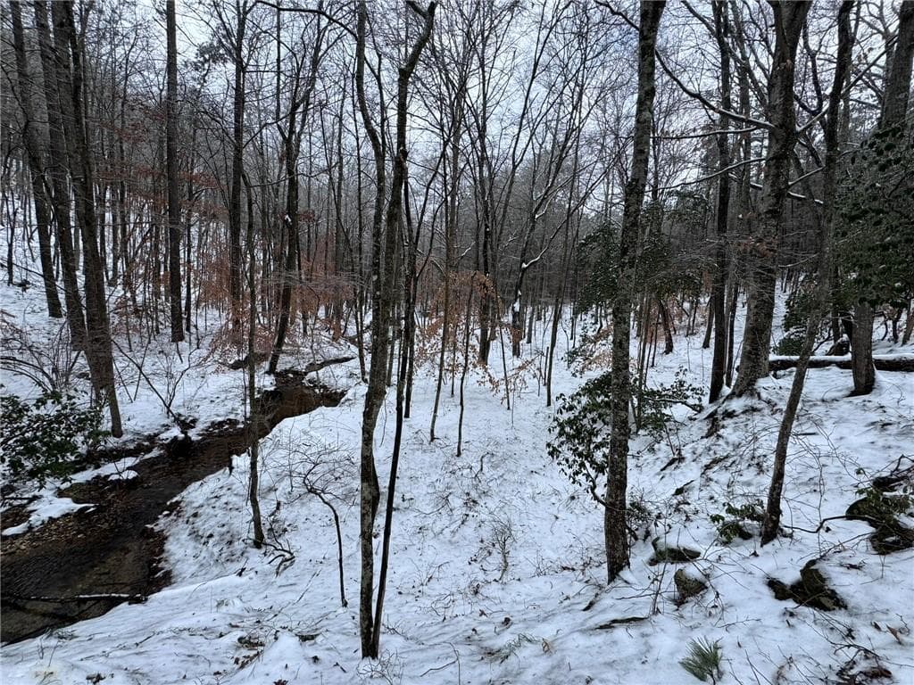 unimproved land for sale at 0 Lone Bear Path, Dallas, GA 30132 — photo 7